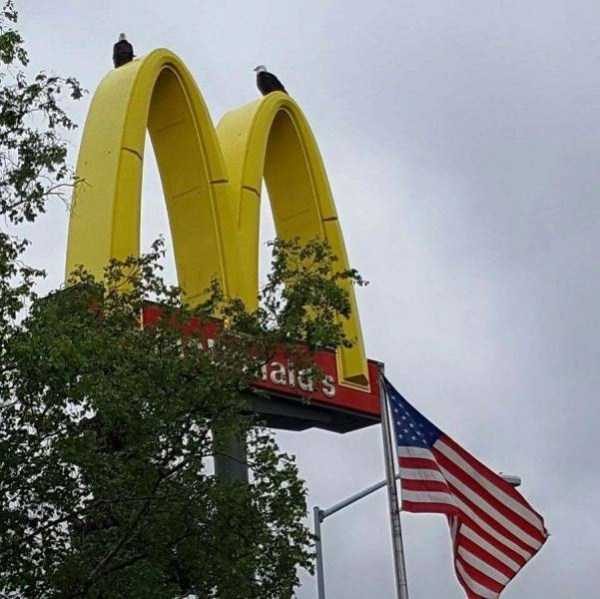 Meanwhile In America (34 photos)