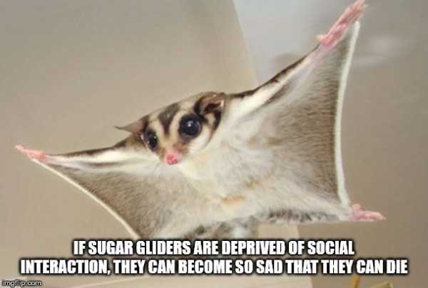 It’s Time For Some Cool And Interesting Facts – Part 141 (47 photos)