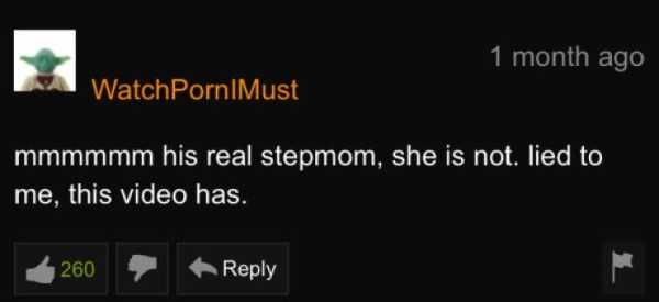 funny pornhub comments 27