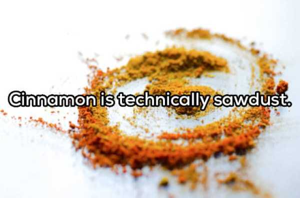 39 More Deep Shower Thoughts (39 photos)