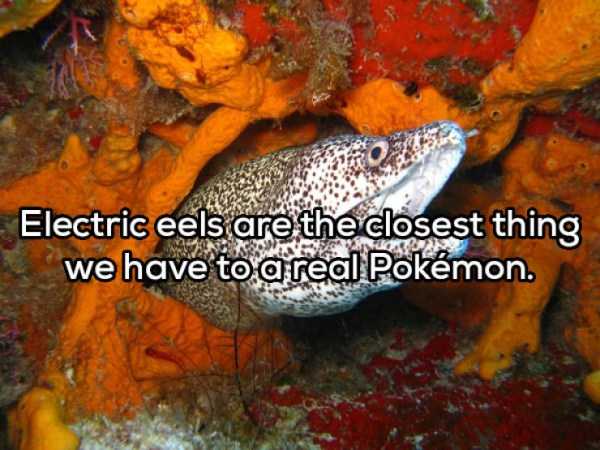 39 More Deep Shower Thoughts (39 photos)