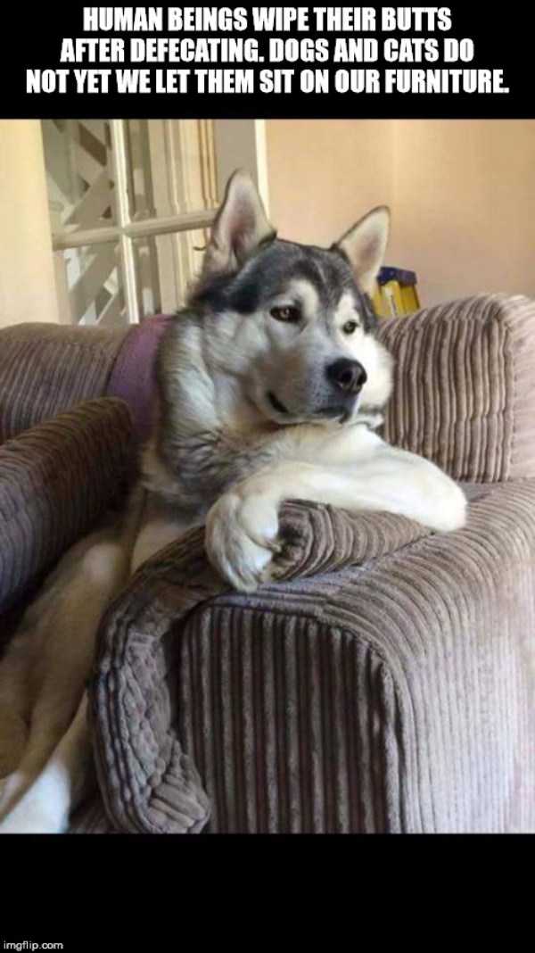 39 More Deep Shower Thoughts (39 photos)