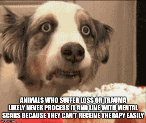 39 More Deep Shower Thoughts (39 photos)