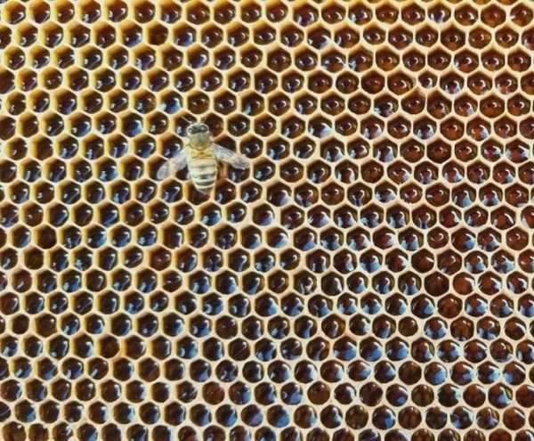 29 More Pictures For Perfectionists (29 photos)