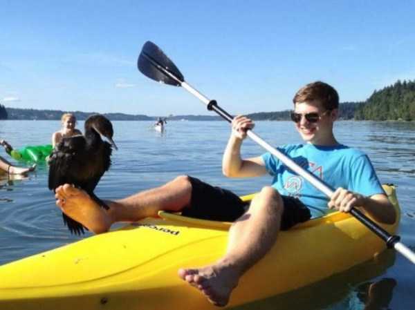 klyker funny picdump 65 1 Klyker Picdump (74 photos)
