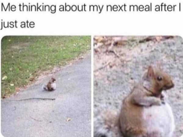 45 Funny Pics, Just in Case You Haven’t Laughed Yet Today (45 photos)