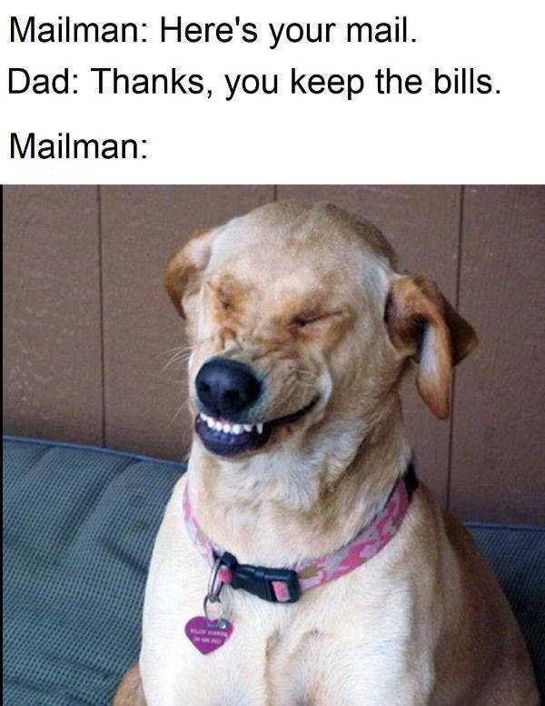 45 Funny Pics, Just in Case You Haven’t Laughed Yet Today (45 photos)