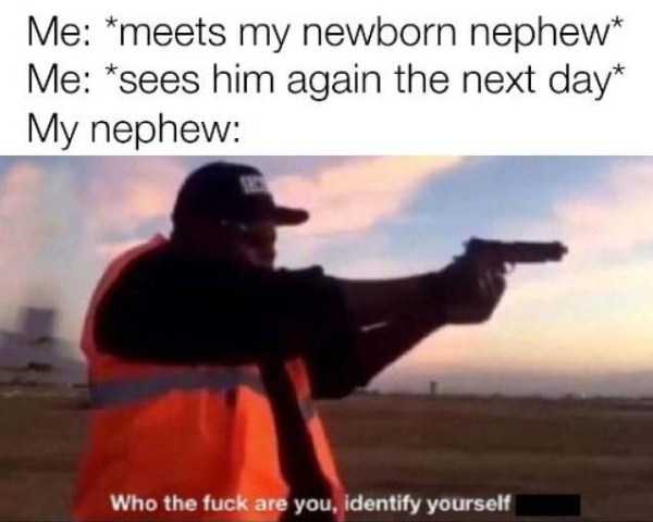 45 Funny Pics, Just in Case You Haven’t Laughed Yet Today (45 photos)