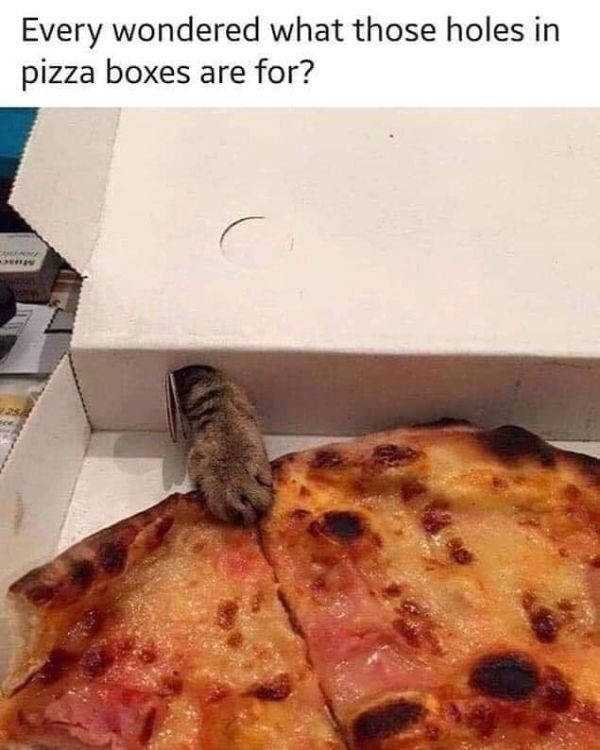 45 Funny Pics, Just in Case You Haven’t Laughed Yet Today (45 photos)
