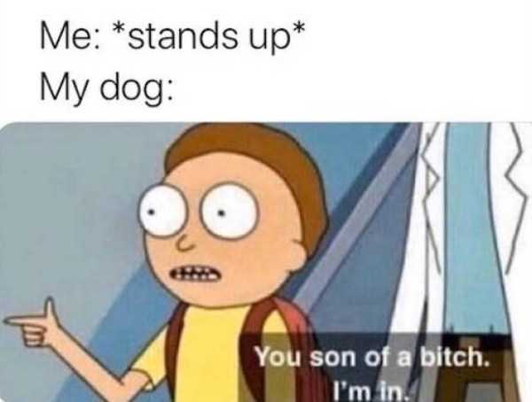 45 Funny Pics, Just in Case You Haven’t Laughed Yet Today (45 photos)