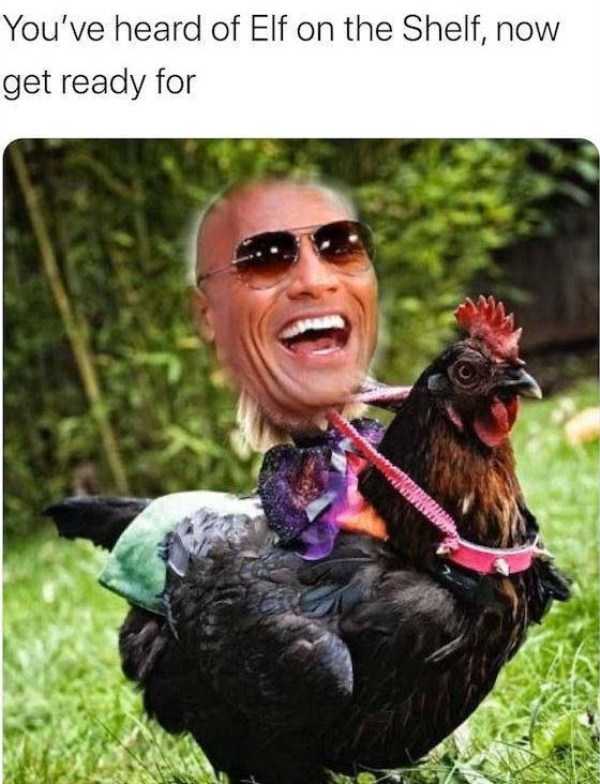 45 Funny Pics, Just in Case You Haven’t Laughed Yet Today (45 photos)
