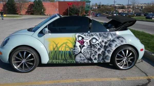 39 Crazy Looking Cars (39 photos)