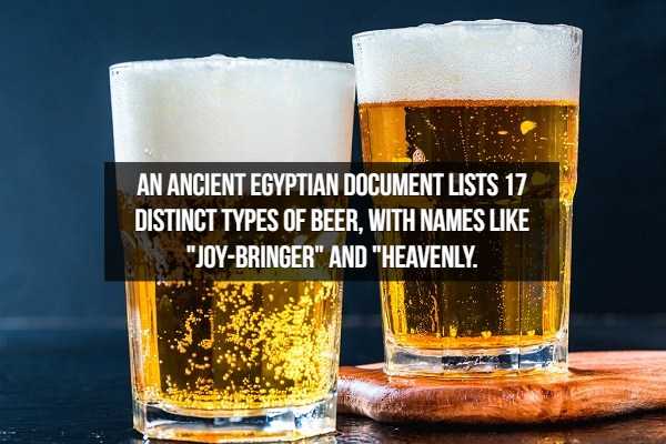 beer facts 13
