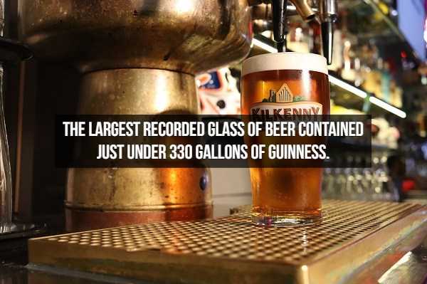 beer facts 16