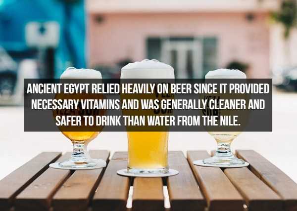 beer facts 17