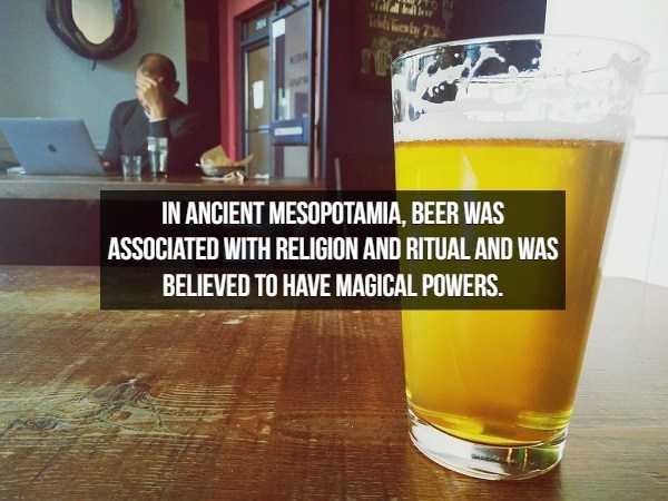 beer facts 19