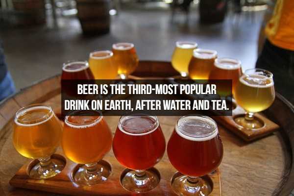beer facts 6