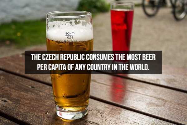 beer facts 8