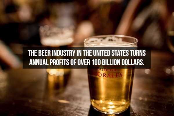 beer facts 9