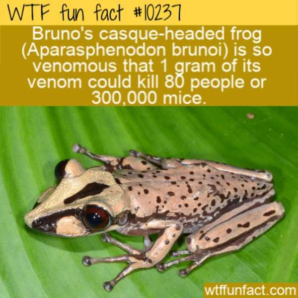 It’s Time For Some Cool And Interesting Facts – Part 152 (45 photos)