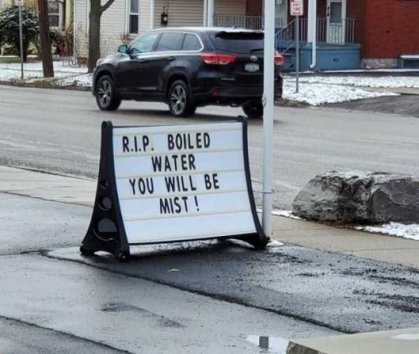 funny pictures 6