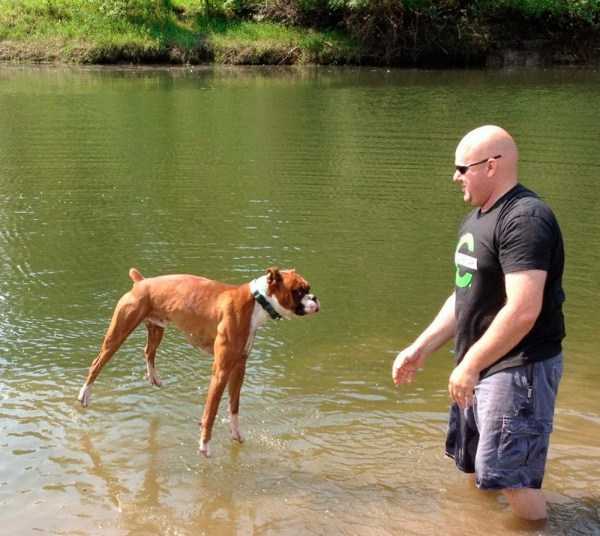 48 Perfectly Timed Photos
