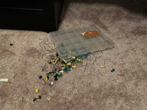 This Is Really Frustrating! (46 photos)