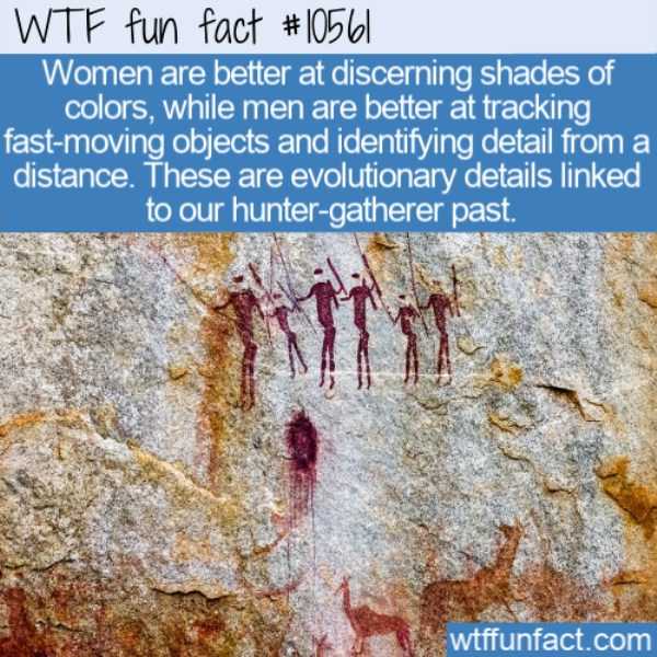 It’s Time For Some Cool And Interesting Facts – Part 156 (45 photos)