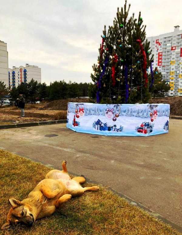 41 WTF Photos From The Planet Russia