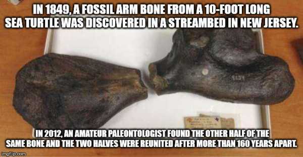 It’s Time For Some Cool And Interesting Facts – Part 155 (45 photos)