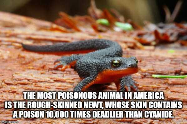 It’s Time For Some Cool And Interesting Facts – Part 154 (40 photos)