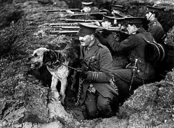 Military Dogs Of WWI And WWII (34 photos)