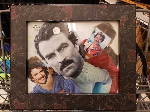 thrift shop items 17 40 WTF Things Found In Thrift Stores (40 photos)