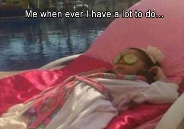48 Funny Pics, Just in Case You Haven’t Laughed Yet Today (48 photos)