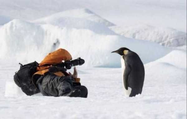 klyker funny picdump 30 12 Klyker Picdump (70 photos)
