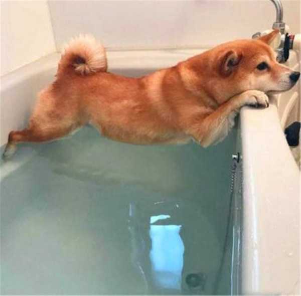 klyker funny picdump 58 3 Klyker Picdump (73 photos)