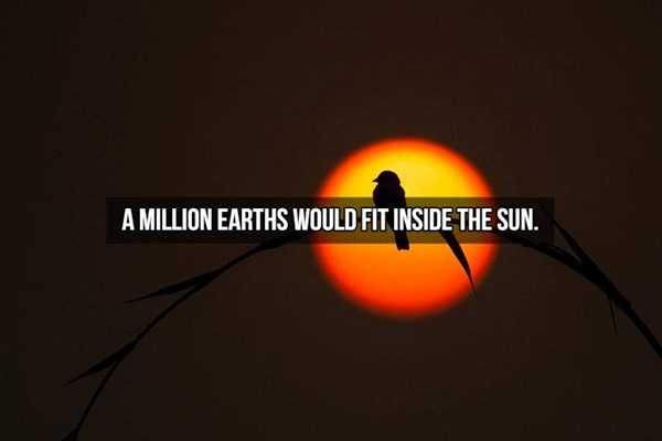 random fun trivia 19 1 It’s Time For Some Cool And Interesting Facts – Part 159 (40 photos)