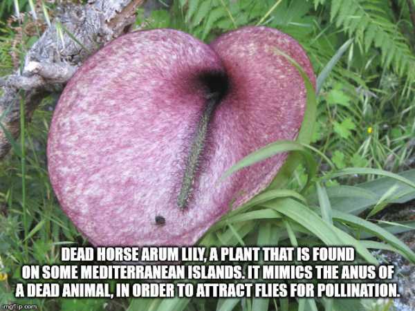 random fun trivia 29 1 It’s Time For Some Cool And Interesting Facts – Part 159 (40 photos)