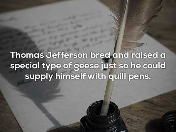 random fun trivia 36 1 It’s Time For Some Cool And Interesting Facts – Part 159 (40 photos)