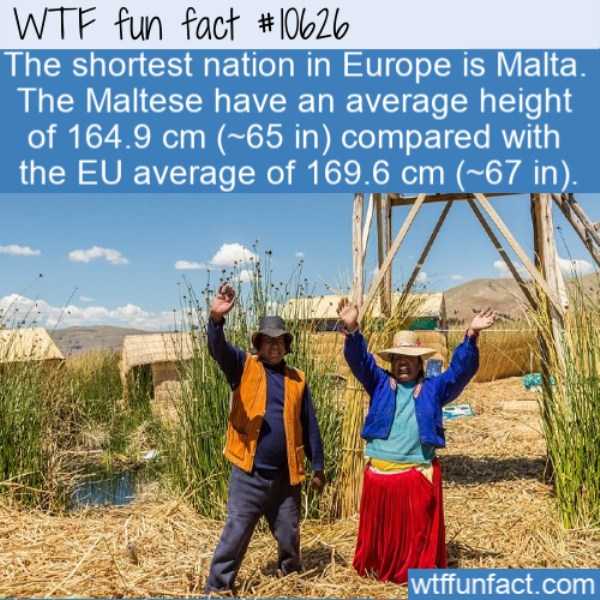 It’s Time For Some Cool And Interesting Facts – Part 158 (46 photos)
