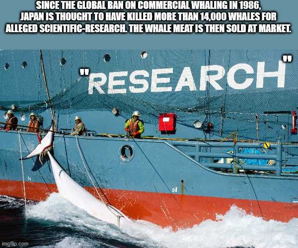 It’s Time For Some Cool And Interesting Facts – Part 164 (40 photos)