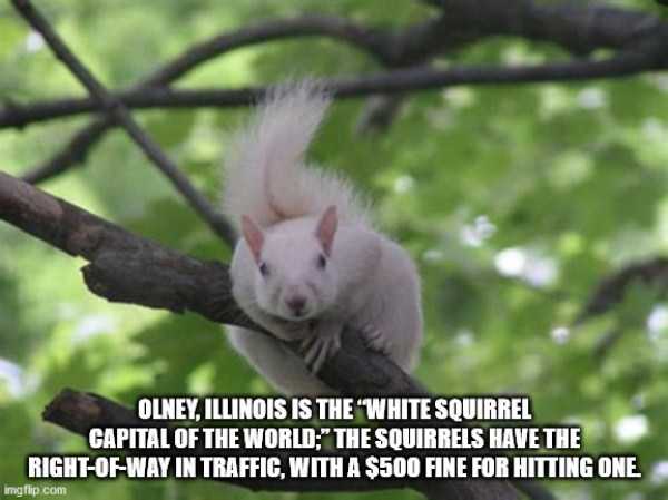 It’s Time For Some Cool And Interesting Facts – Part 164 (40 photos)