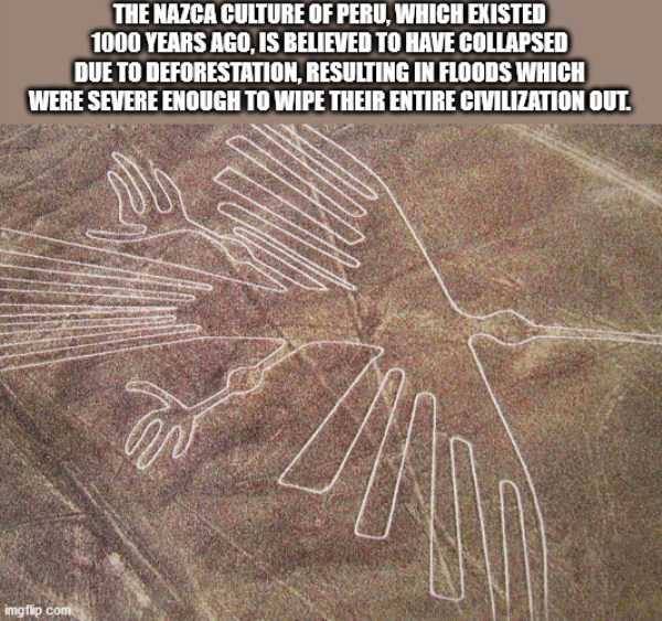 It’s Time For Some Cool And Interesting Facts – Part 164 (40 photos)