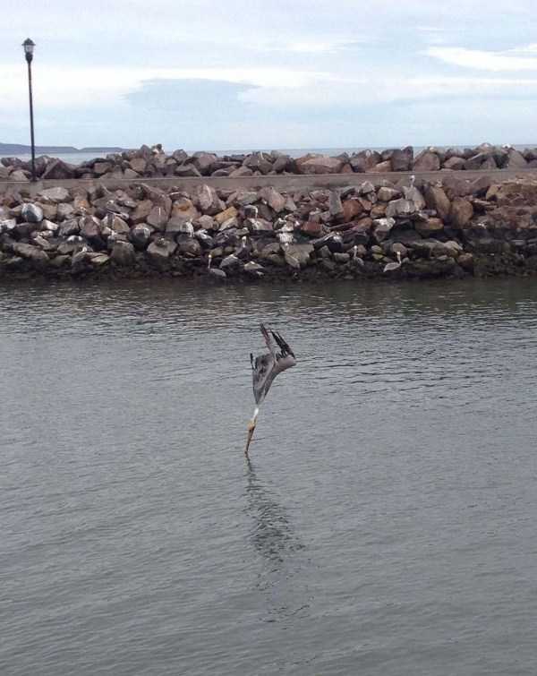perfectly timed 36 44 Perfectly Timed Photos