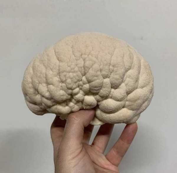 53 Nothing But Awesome Pics (53 photos)