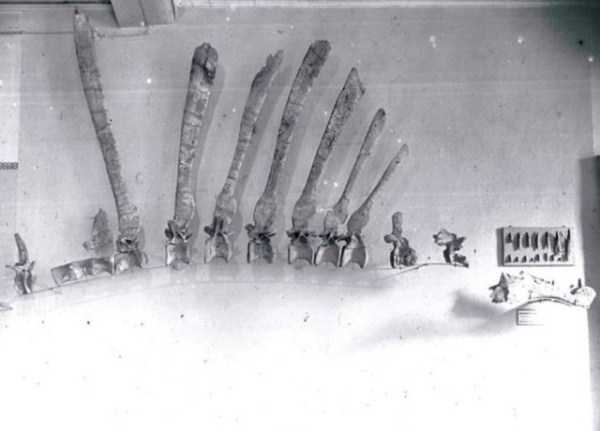 53 Nothing But Awesome Pics (53 photos)