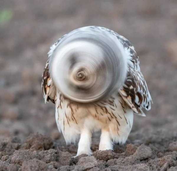 53 Nothing But Awesome Pics (53 photos)