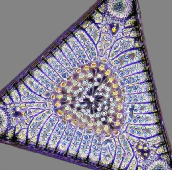 53 Nothing But Awesome Pics (53 photos)