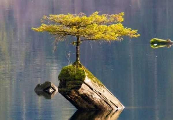 53 Nothing But Awesome Pics (53 photos)