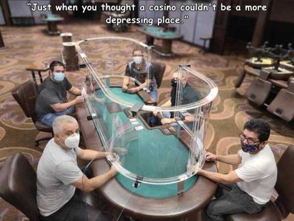 39 Random Pictures With Captions (39 photos)